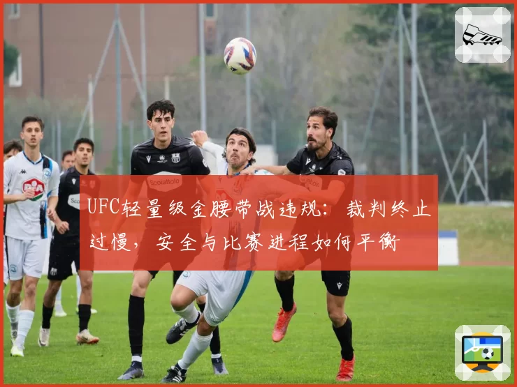 UFC轻量级金腰带战违规:裁判终止过慢,安全与比赛进程如何平衡