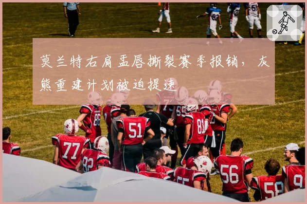 莫兰特右肩盂唇撕裂赛季报销,灰熊重建计划被迫提速