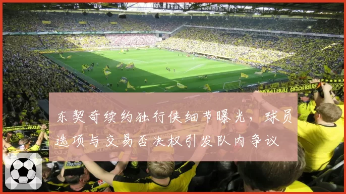 东契奇续约独行侠细节曝光,球员选项与交易否决权引发队内争议