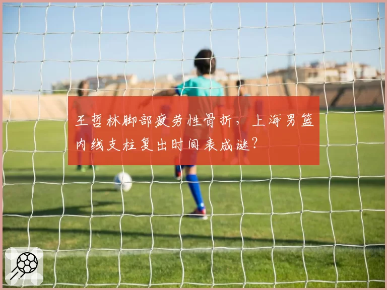 王哲林脚部疲劳性骨折，上海男篮内线支柱复出时间表成谜？