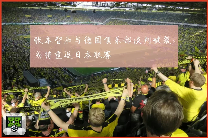 张本智和与德国俱乐部谈判破裂，或将重返日本联赛