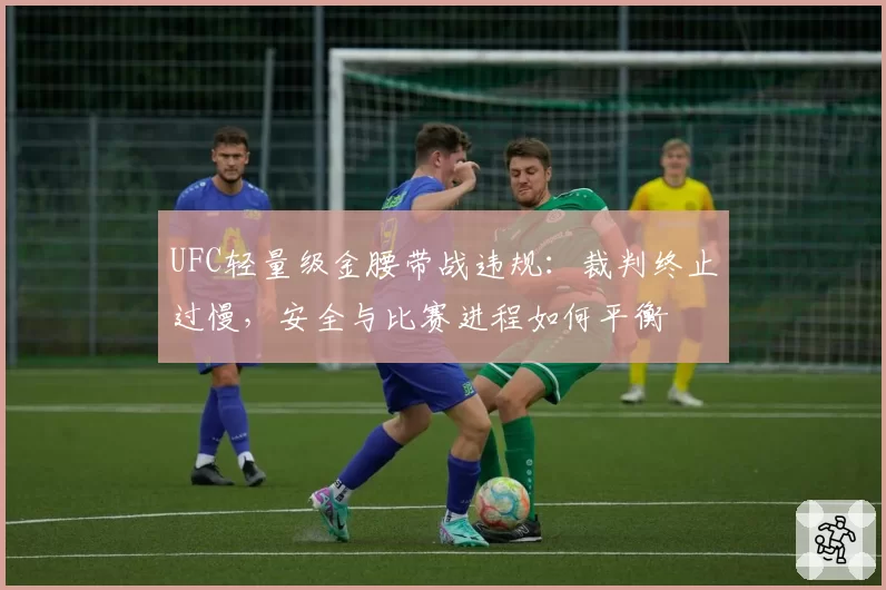UFC轻量级金腰带战违规:裁判终止过慢,安全与比赛进程如何平衡